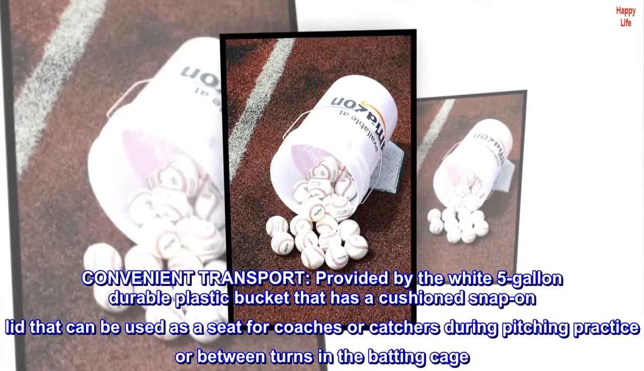 The white five-gallon bucket containing the baseballs.