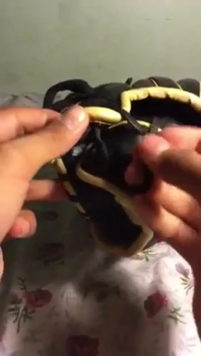 Continue creating the 'X' pattern, skipping a hole each time. This might require using your hands or tweezers/pliers to maneuver the lace through the tight spaces.