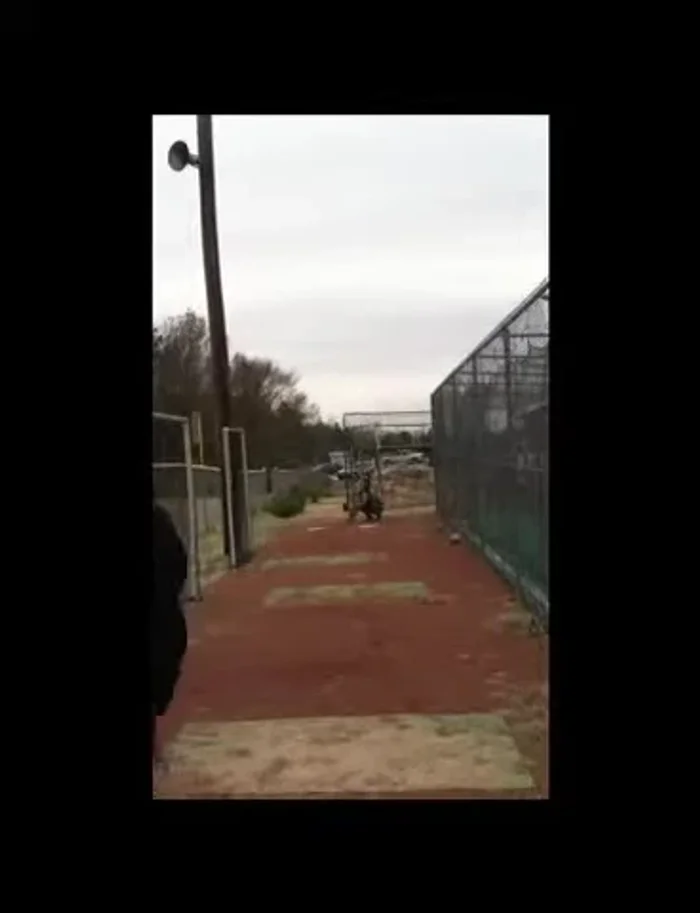 Throw two dry leather baseballs, noting movement.