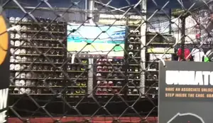 HitTrax Batting Cage Review: A Fun and Informative Baseball Experience