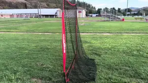 Bearwill 7x7 Baseball Practice Net & Batting Tee: A Comprehensive Review