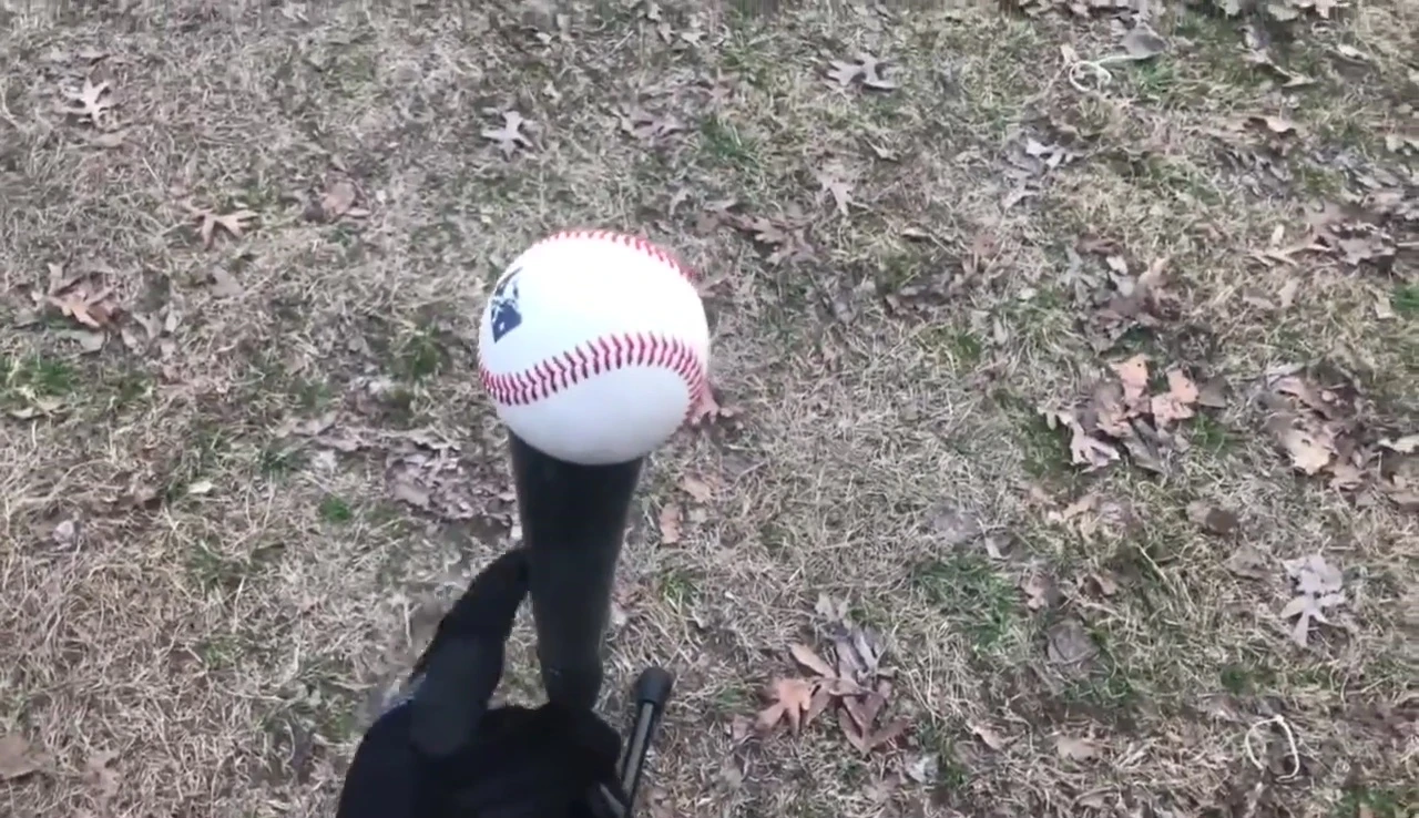 The reviewer preparing to hit a ball