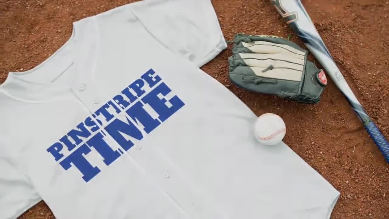 Initial view of the PowerNet baseball net