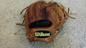 Wilson A2000 DP15 Glove & Phoenix Wood Bat Review: A Year and a Half Later
