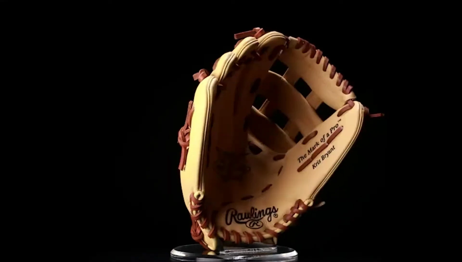 Image highlighting the A2000 web and double lacing.