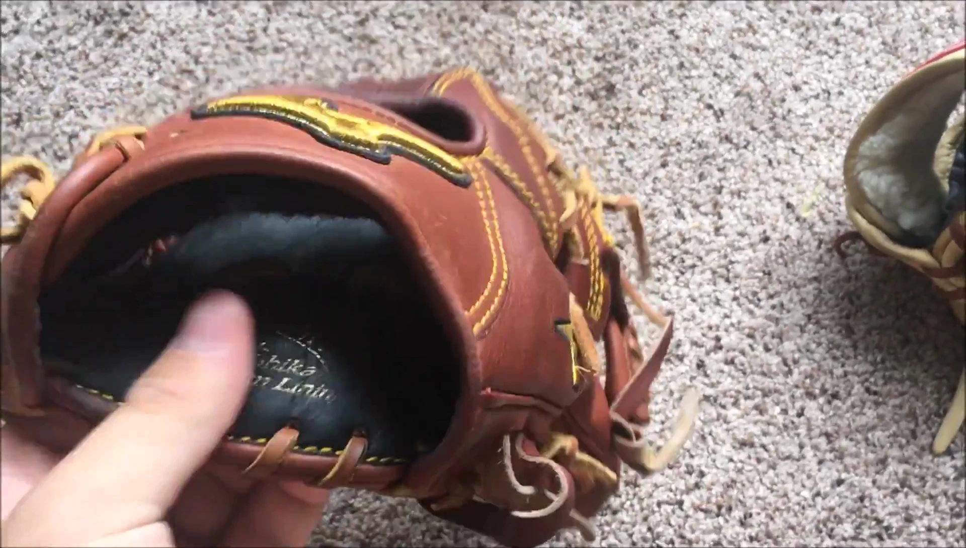 Interior shot of the Mizuno Pro Limited lining.