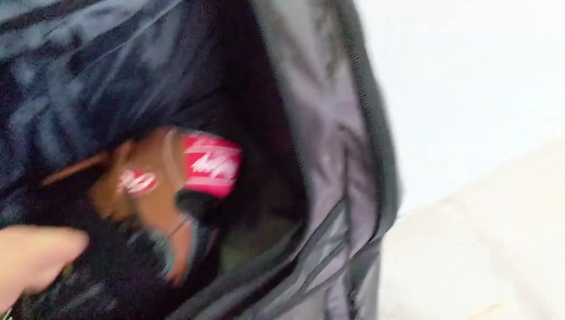 Various items neatly packed inside the bag