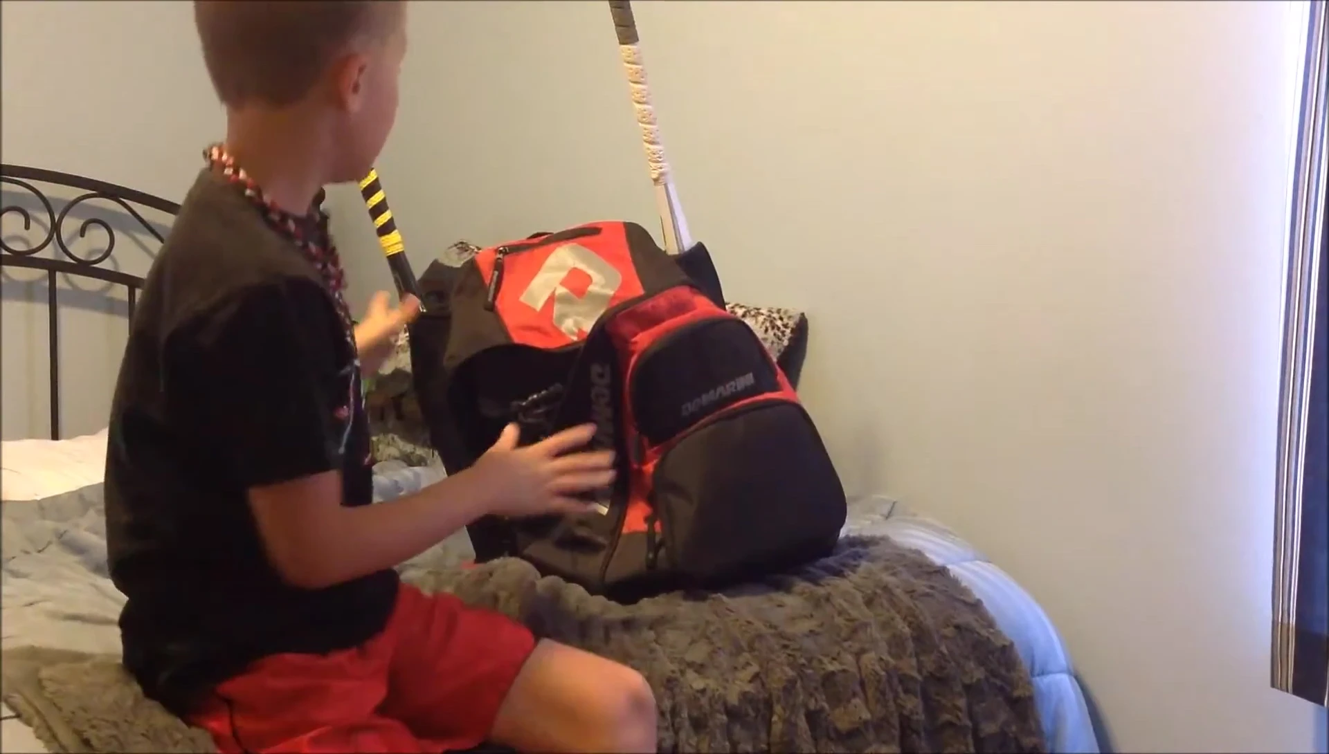 The Demarini bat bag