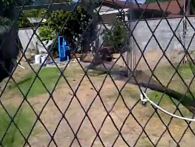 View from the batter's position, showing the incoming pitches.