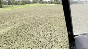 Drag Mat Review: Efficient Core Aeration for Lawns & Golf Courses