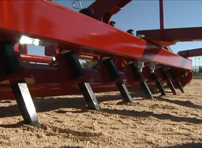 Remove encroaching grasses.