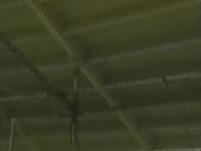 Inspect Stalls and Netting for Holes and Damage