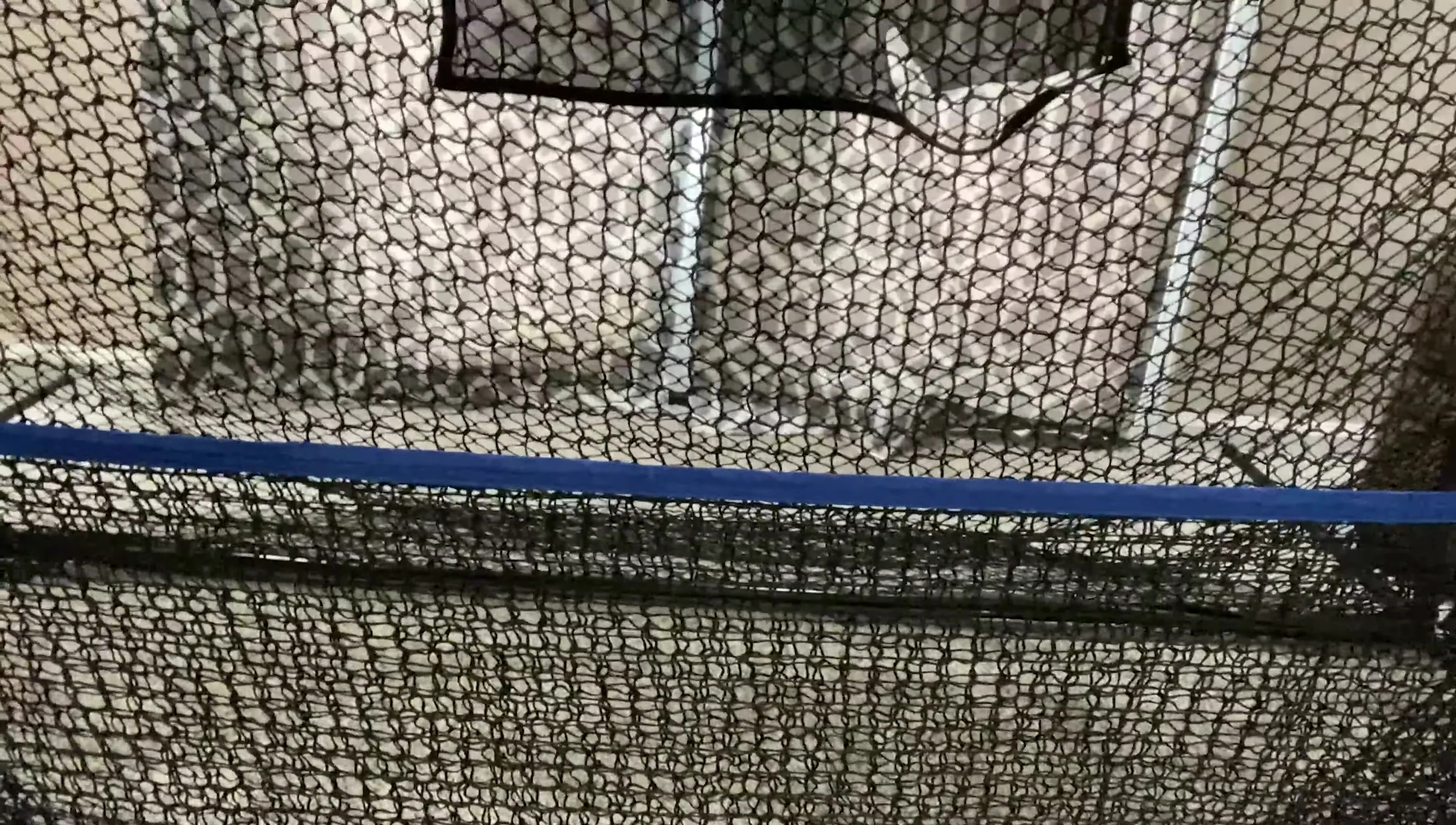 The Ozo Fitness Golf Net with its unique ball pocket.