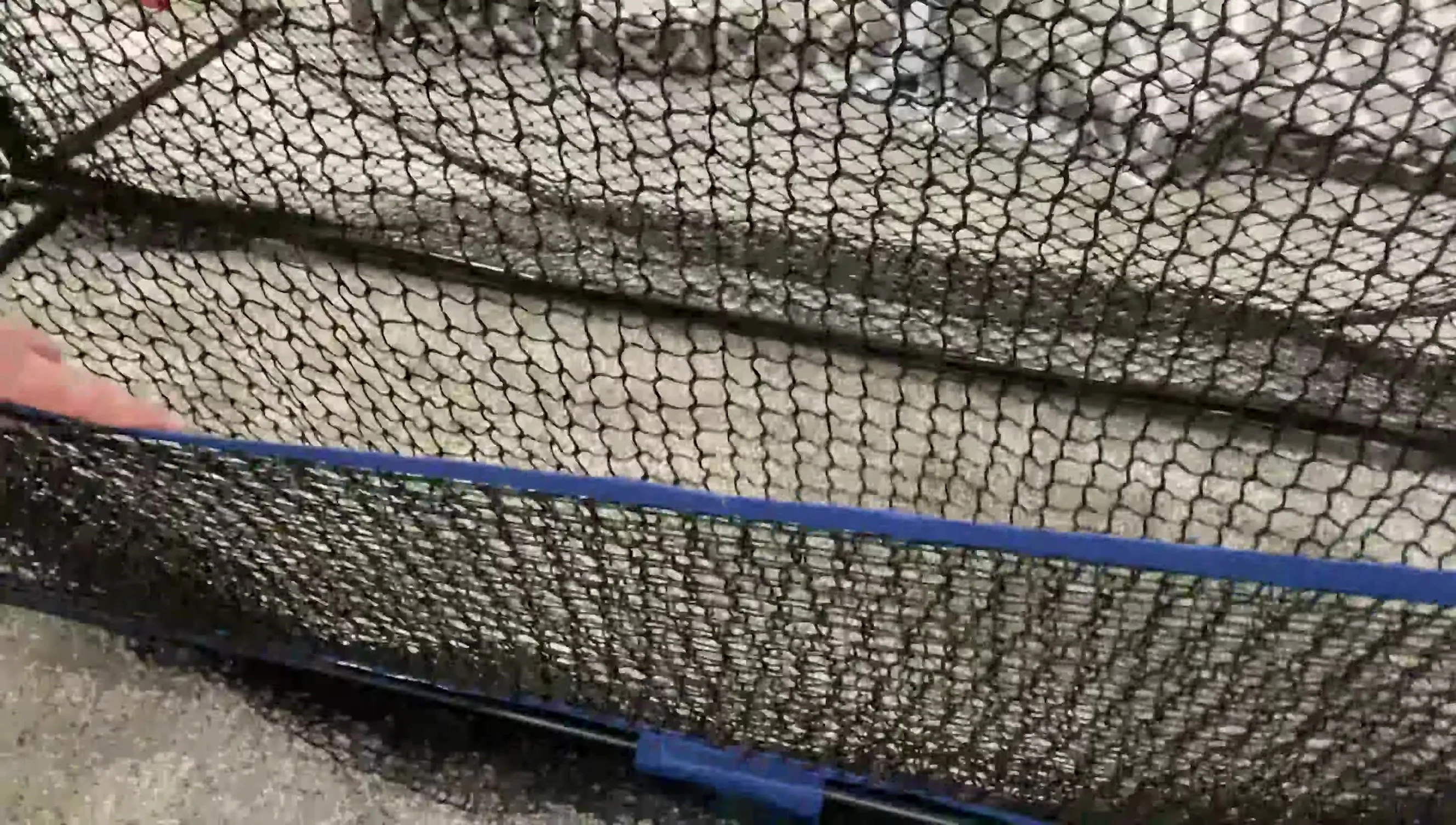 Close up of golf balls in the ball pocket.