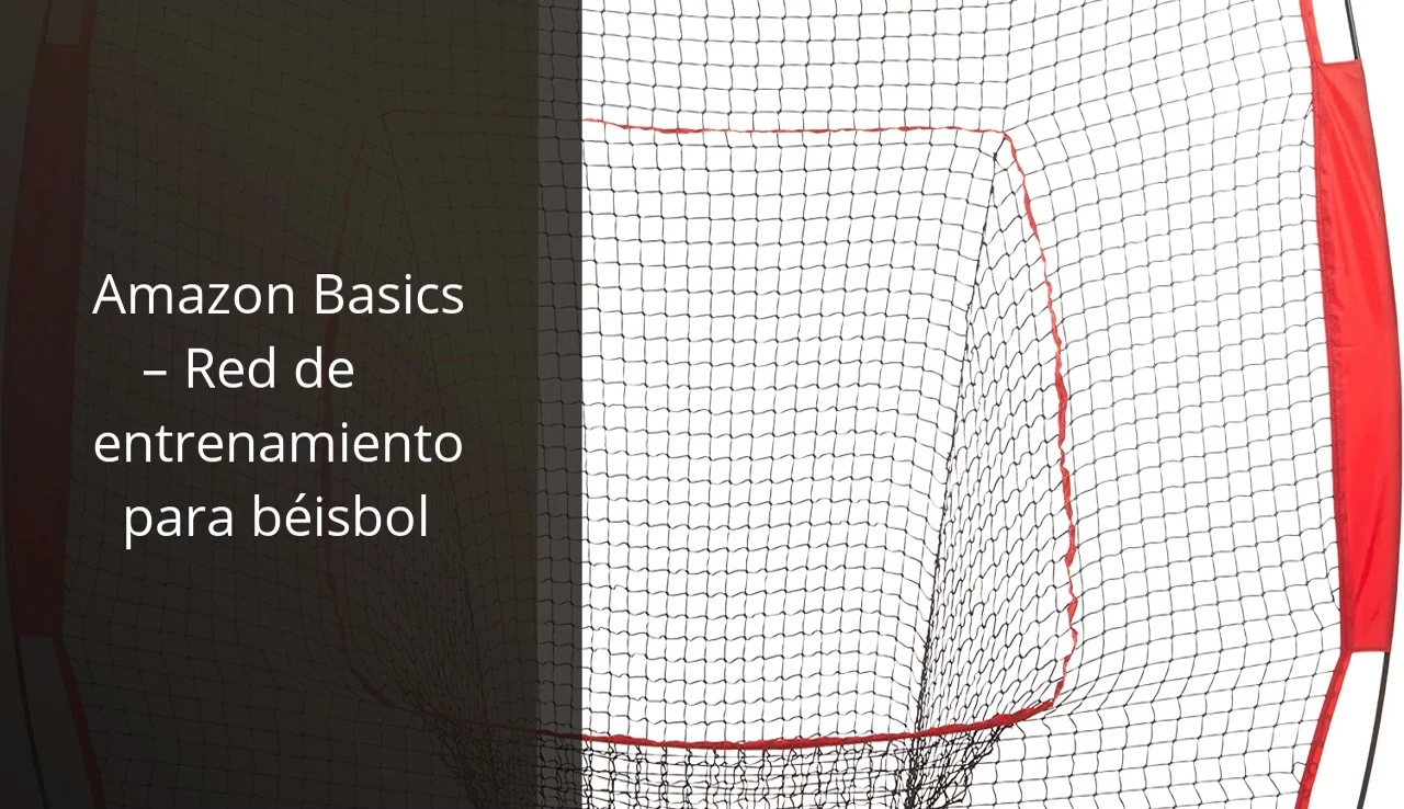 Amazon Basics Baseball Training Net